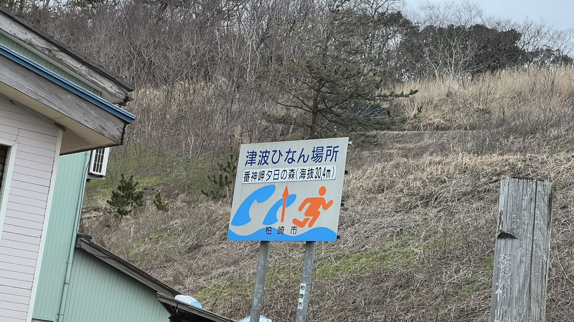 2024年活動写真 61