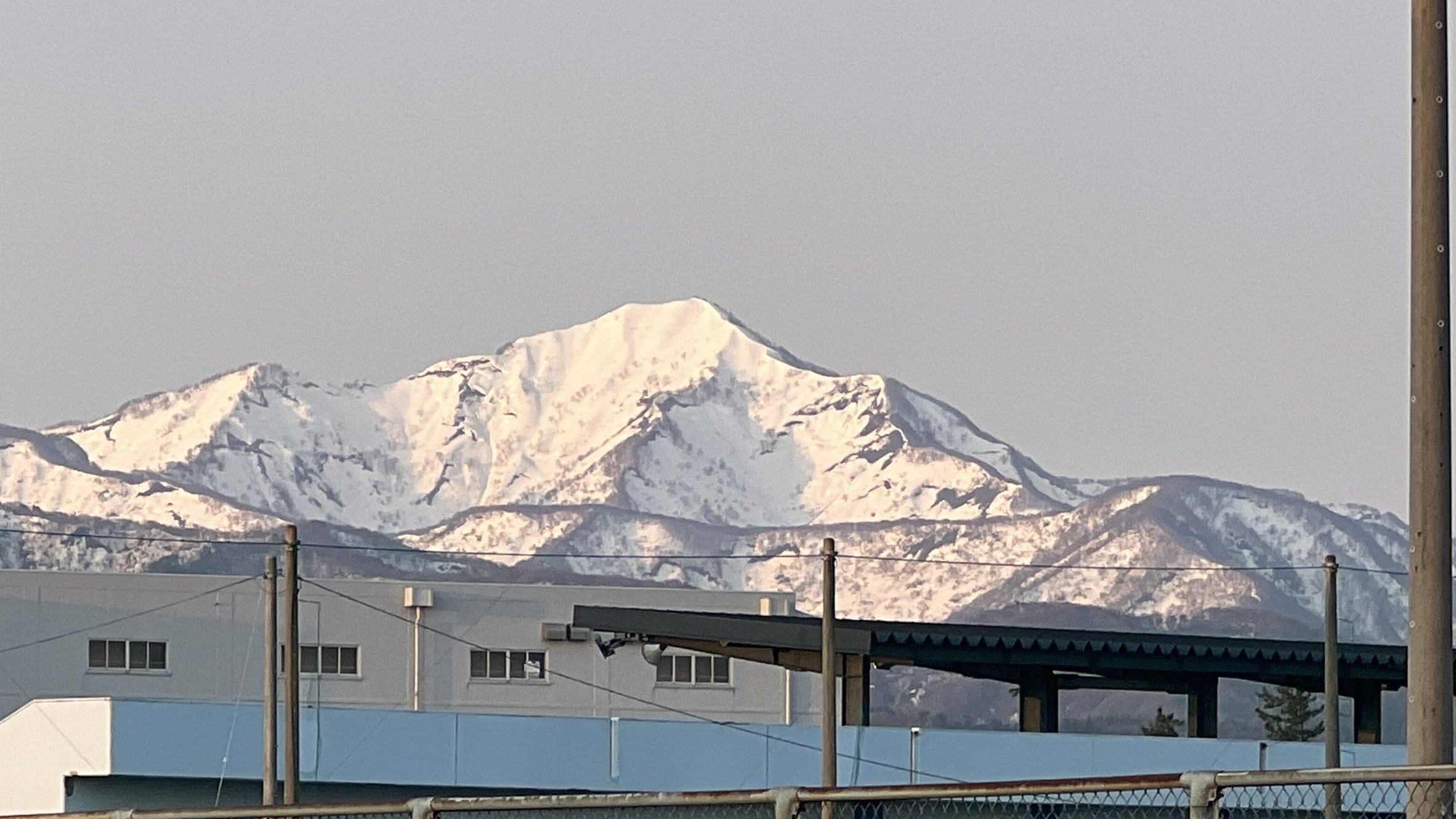 2025年活動写真 144