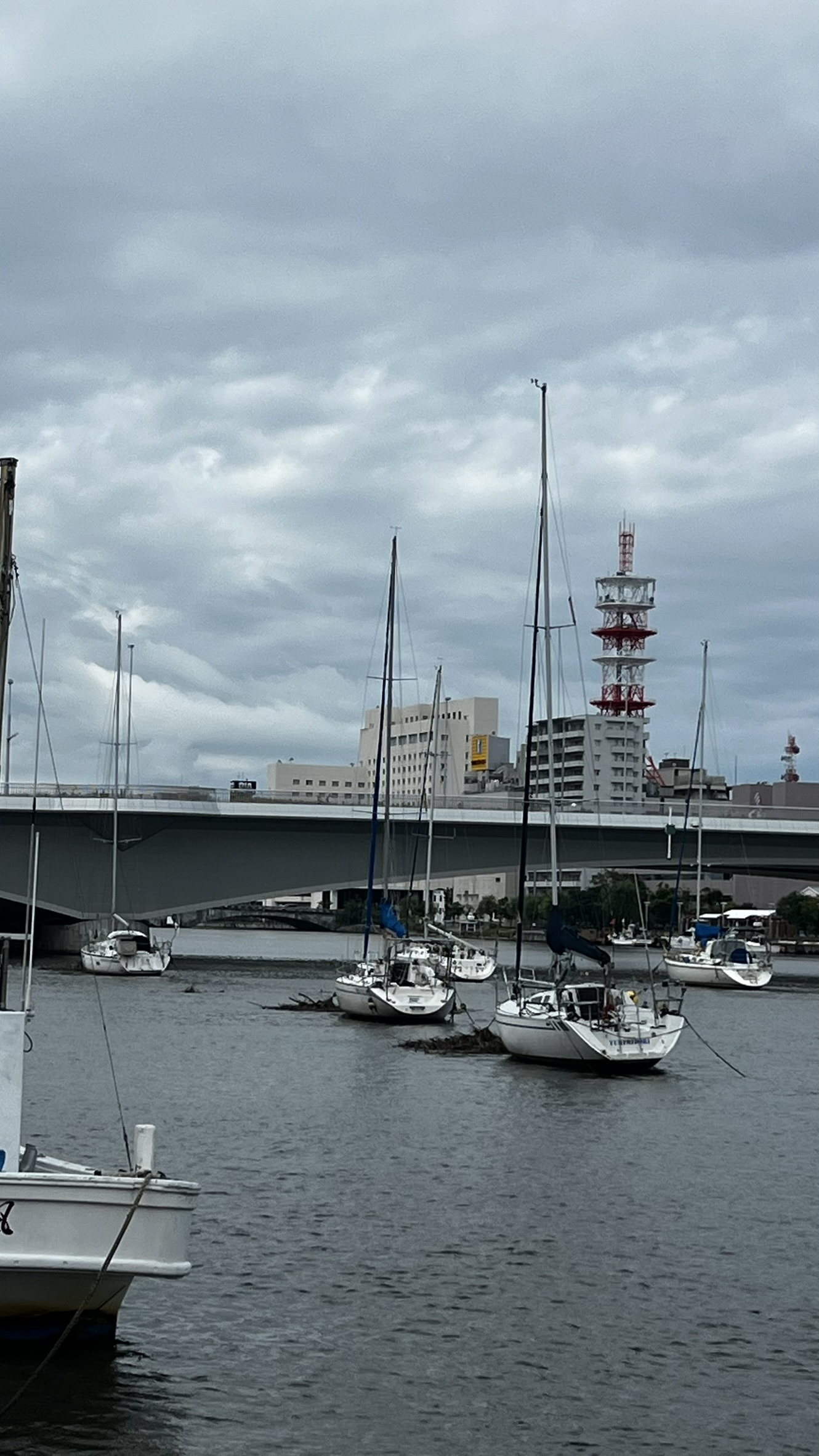 2026年活動写真 53